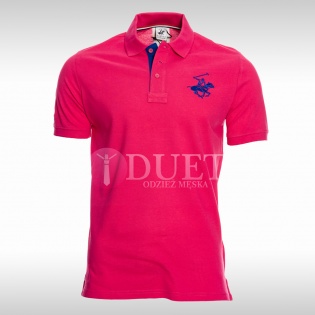 Polo BHPC